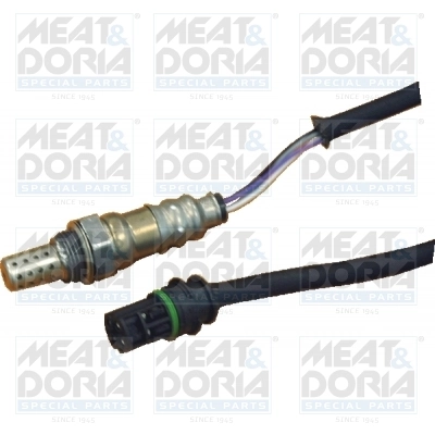 Oxygen Sensor